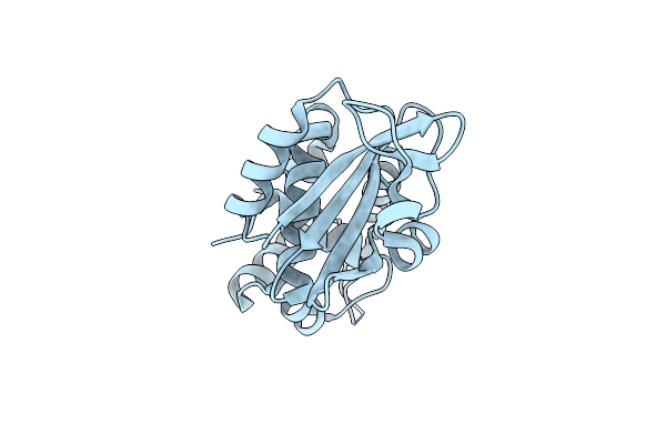 2P8T image
