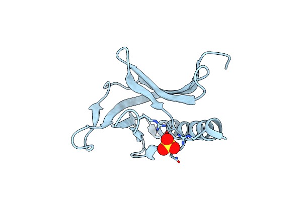 2P8V image