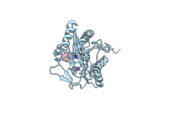 2P98 image