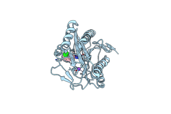 2P99 image