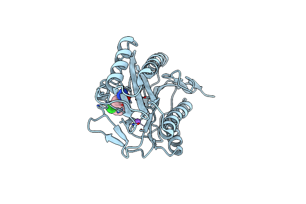 2P9A image