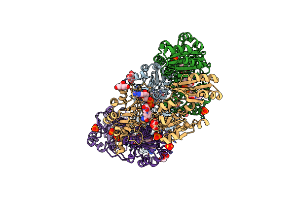2P9E image