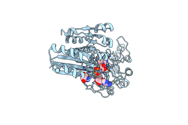 2PA3 image