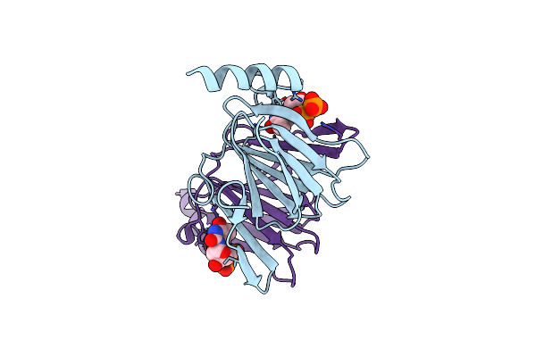 2PAE image