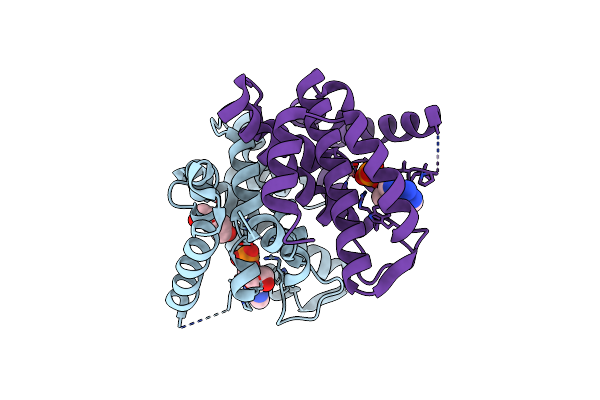 2PAU image