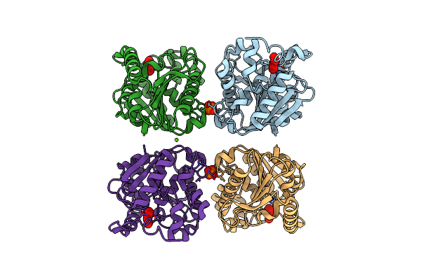 2PBL image