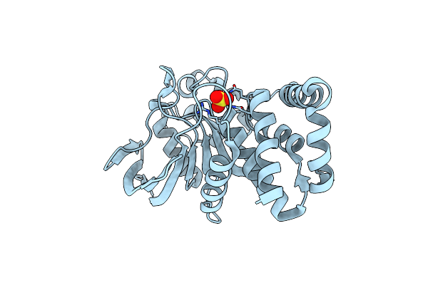 2PBN image