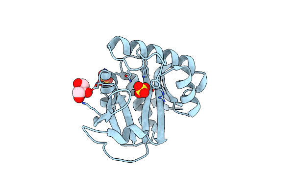 2PC1 image
