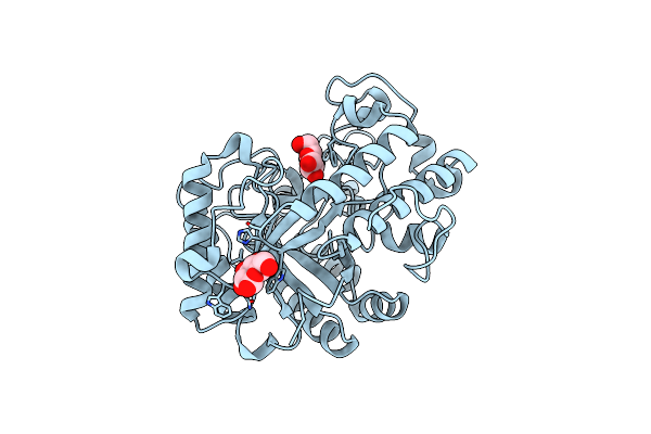 2PC8 image