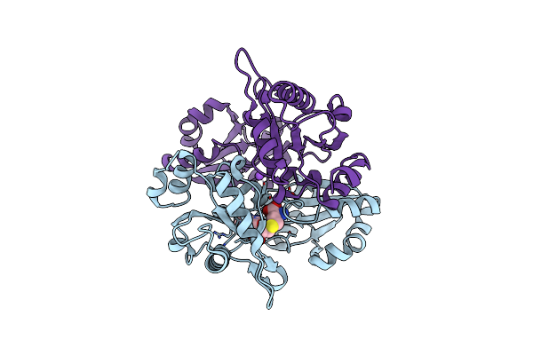 2PCA image