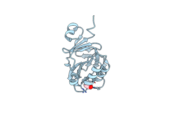 2PCN image