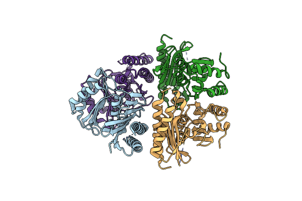 2PCR image
