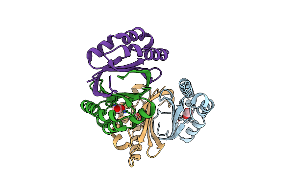 2PD1 image