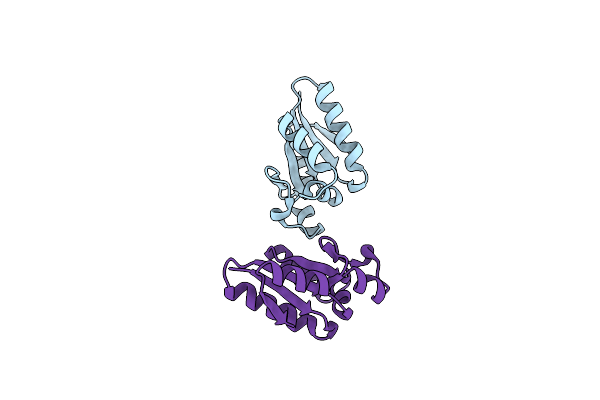 2PD2 image