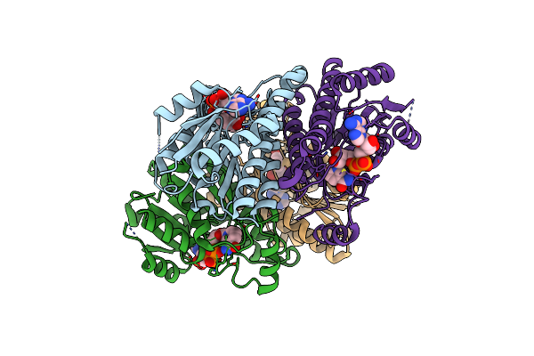 2PD6 image