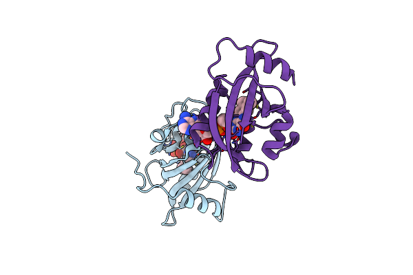 2PD8 image