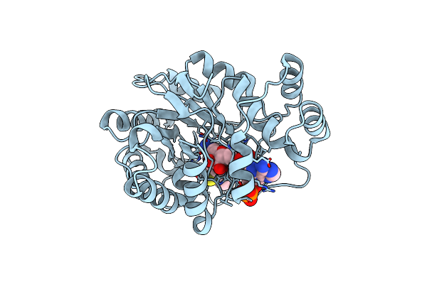 2PDL image