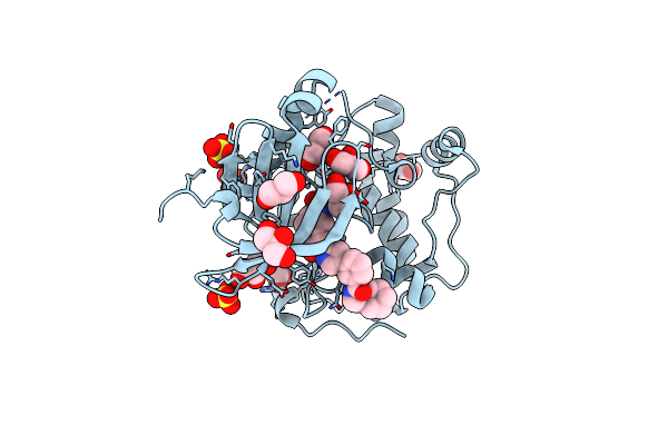 2PE2 image