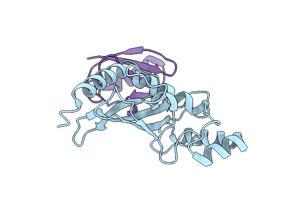 2PE6 image