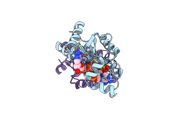 2PEZ image