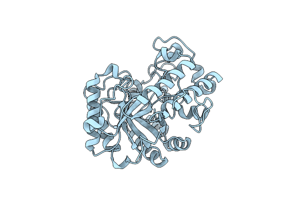 2PF0 image