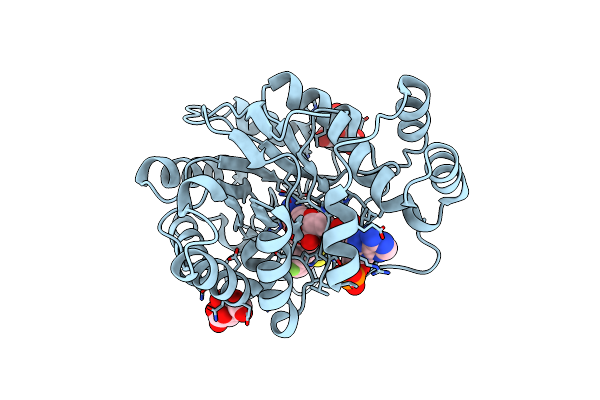 2PF8 image