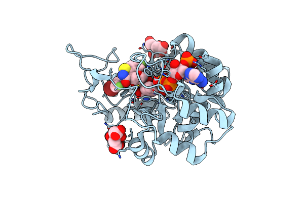 2PFH image