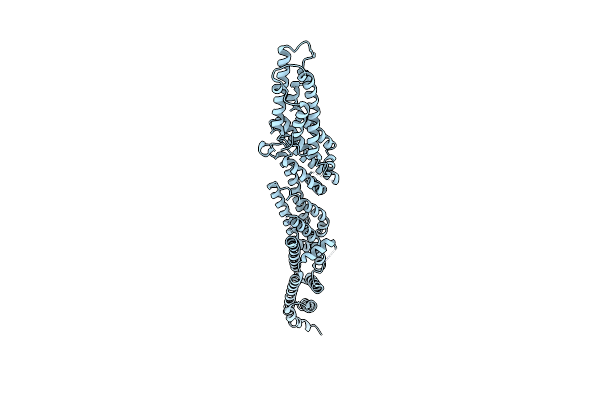 2PFT image