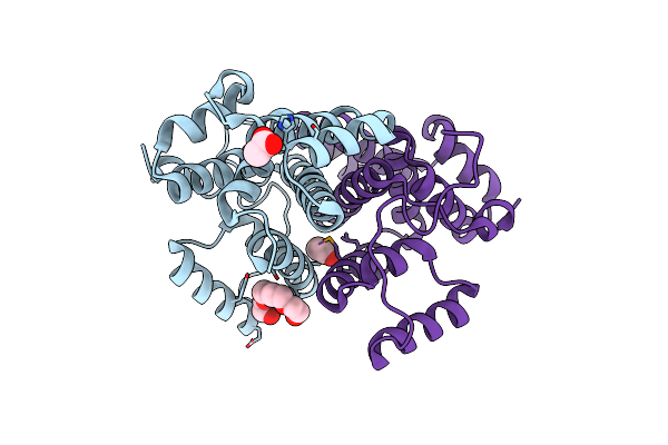2PFX image