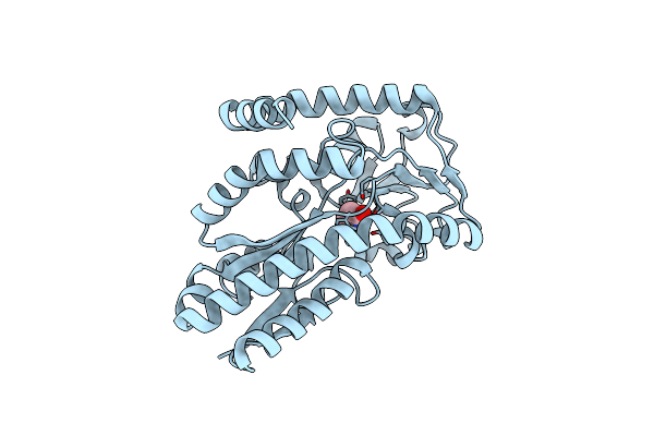 2PFZ image