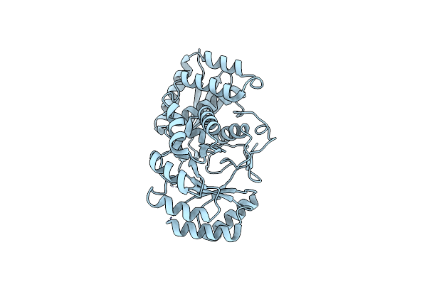 2PGE image
