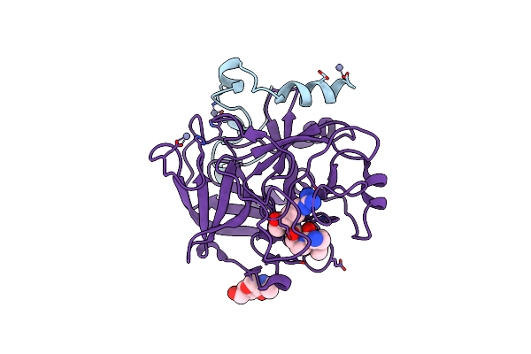 2PGQ image