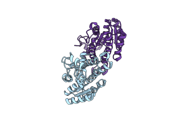 2PH3 image