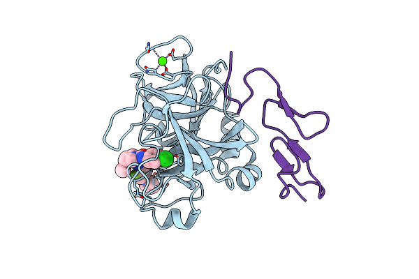2PHB image