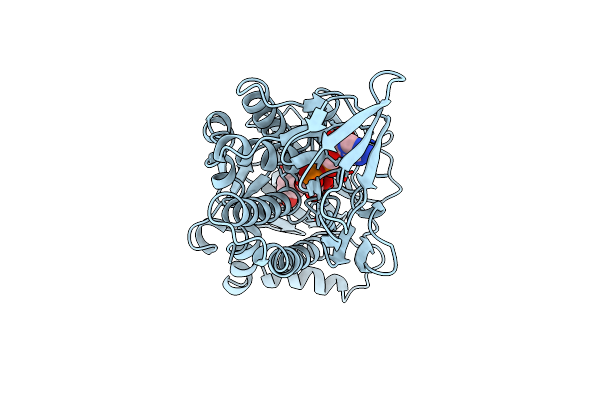 2PHH image