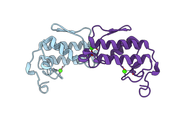 2PHI image