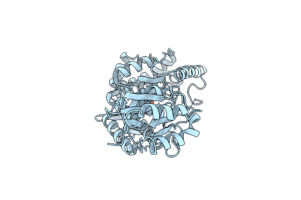 2PHM image
