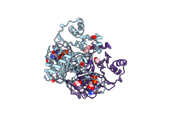 2PHN image