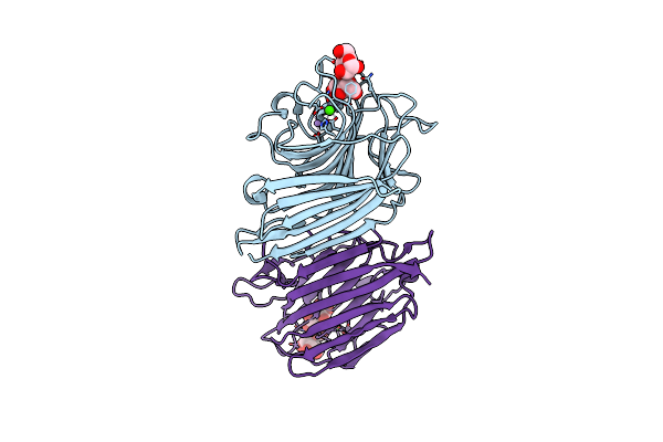 2PHR image