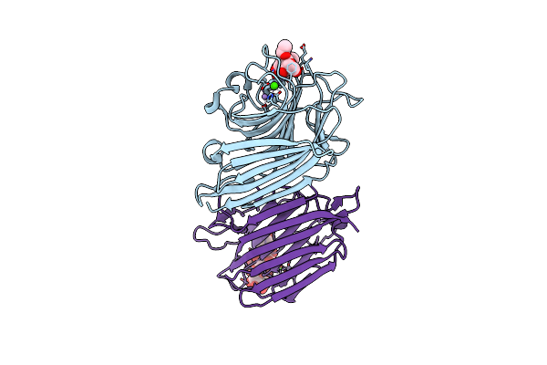 2PHT image