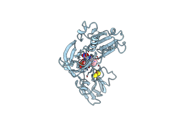 2PIA image