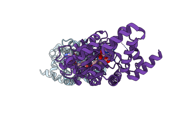 2PID image