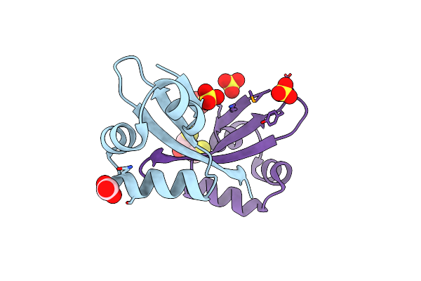 2PIJ image