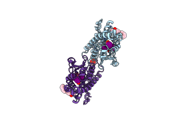 2PIN image