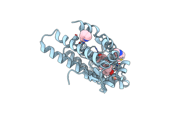2PIO image
