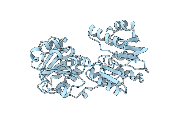 2PJD image