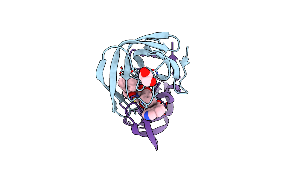 2PK5 image