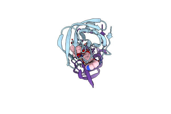 2PK6 image