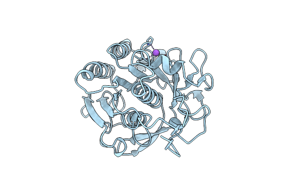 2PKC image