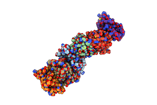 2PKD image